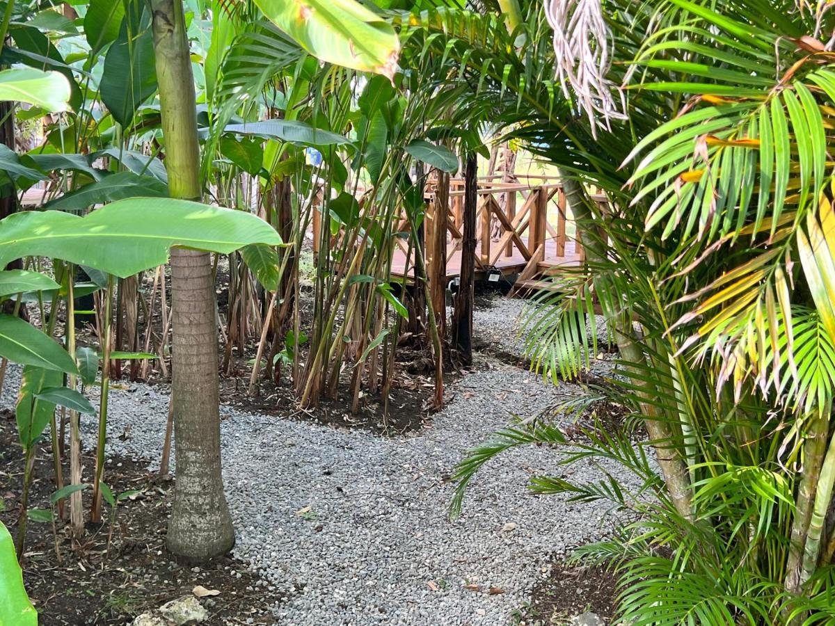 Jamaica Colors Hotel And Eco-Retreat Port Antonio Zewnętrze zdjęcie