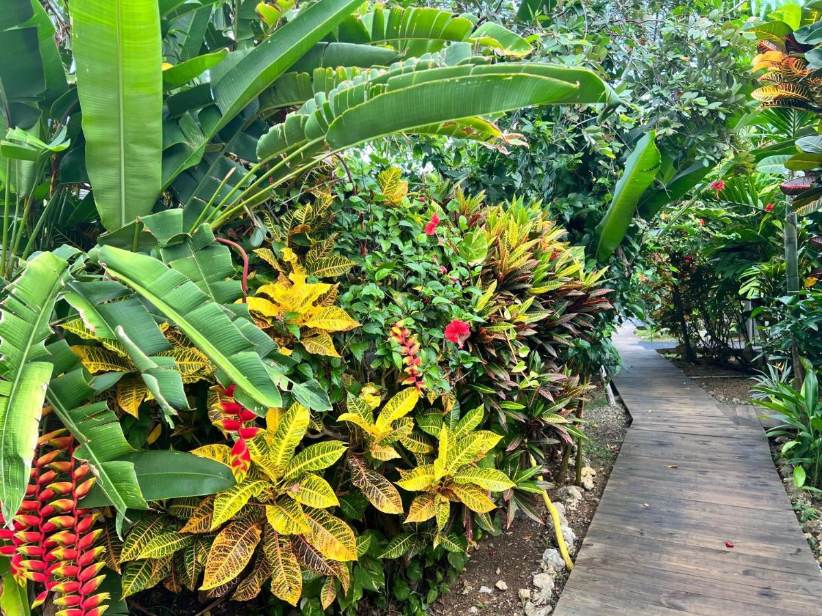 Jamaica Colors Hotel And Eco-Retreat Port Antonio Zewnętrze zdjęcie