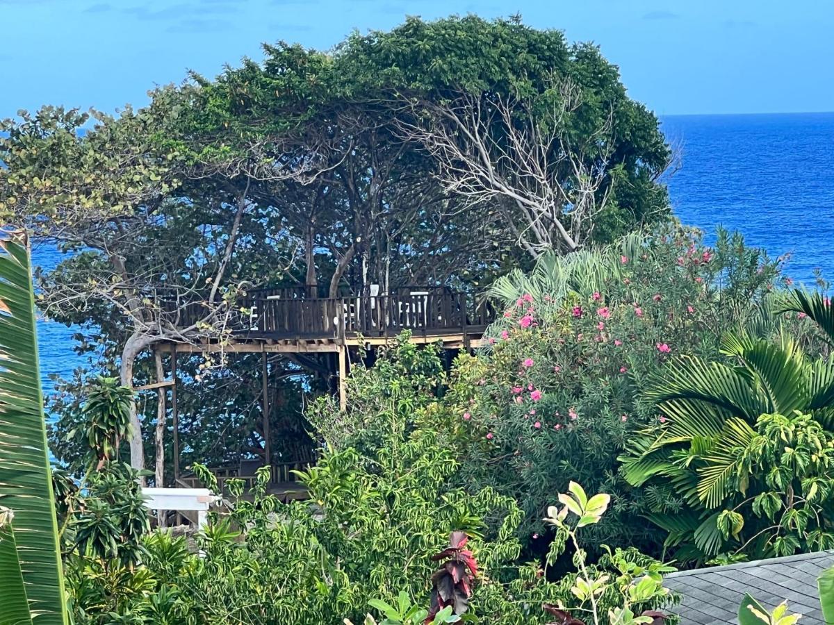 Jamaica Colors Hotel And Eco-Retreat Port Antonio Zewnętrze zdjęcie