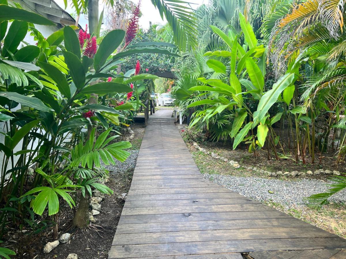 Jamaica Colors Hotel And Eco-Retreat Port Antonio Zewnętrze zdjęcie