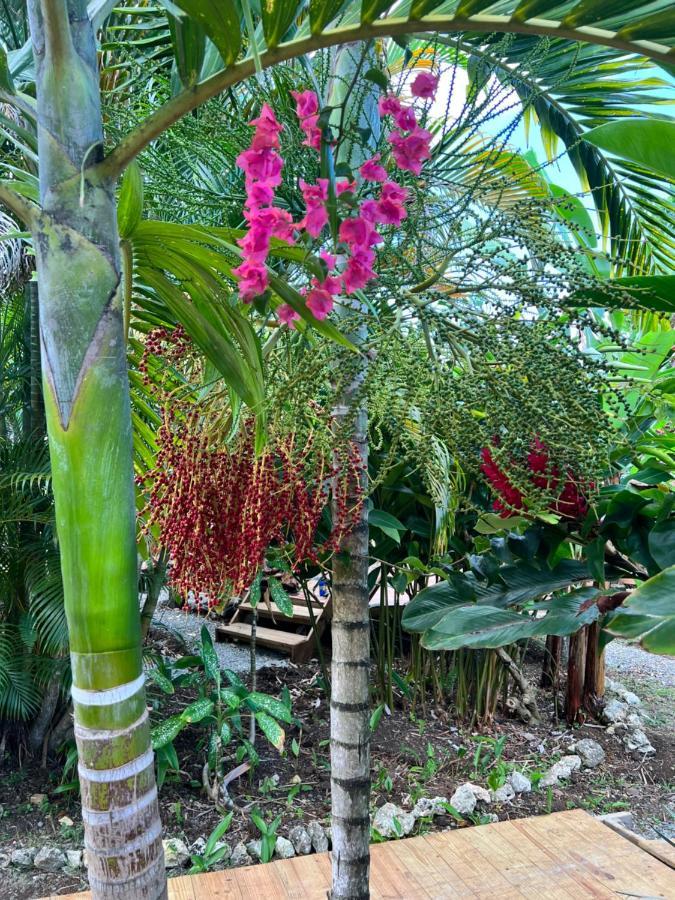 Jamaica Colors Hotel And Eco-Retreat Port Antonio Zewnętrze zdjęcie