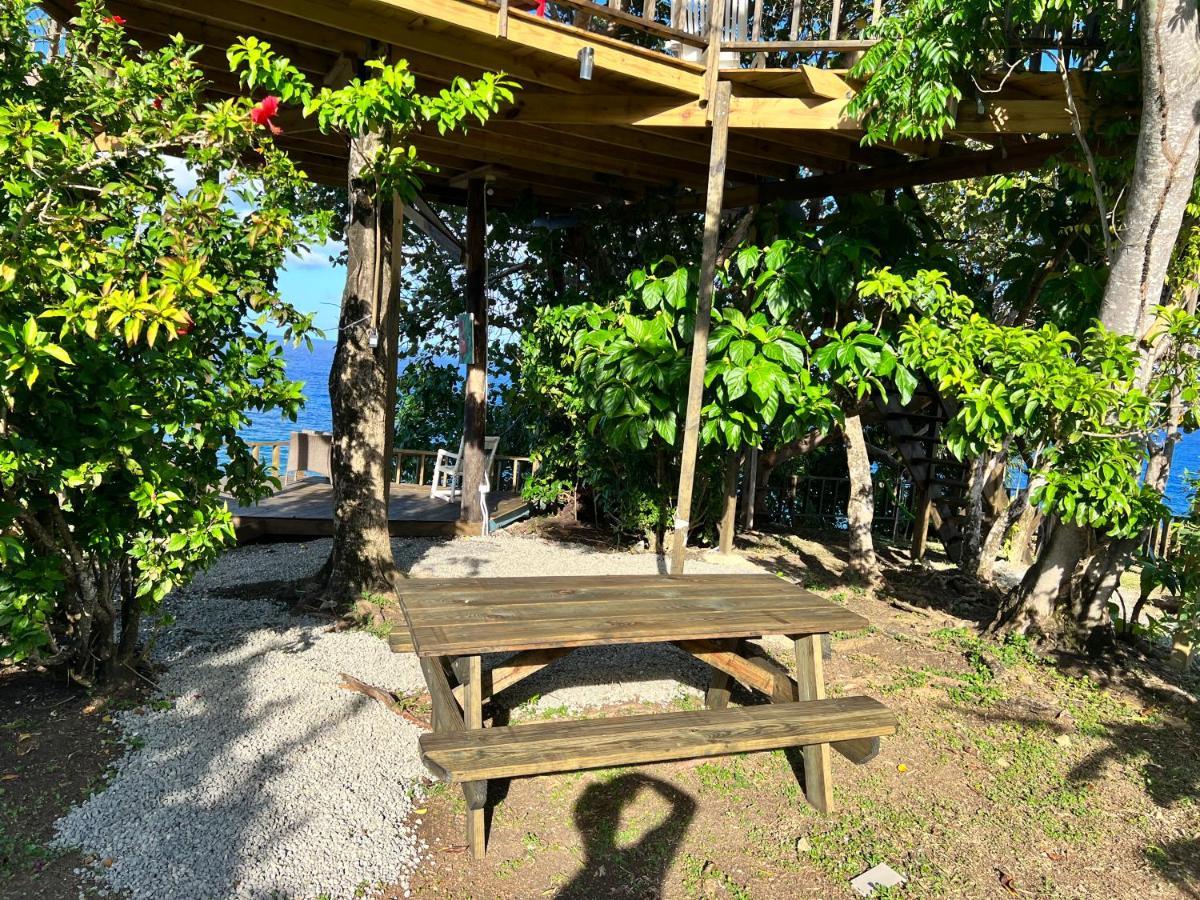 Jamaica Colors Hotel And Eco-Retreat Port Antonio Zewnętrze zdjęcie
